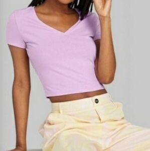 Wild Fable V-neck Cap Sleeve Crop Top in Purple Size XL
